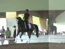 USDF APPROVED<br>University Accreditation<br>USDF Trainers Conference<br>
Day 1<br>
Steffen Peters<br>
Riding & Assisting<br>
Katie Riley<br>
Zanzibar<br>
Dutch Warmblood<br>
8 yrs. Old Gelding<br>
by: Consul<br>
Training: PSG<br>Duration: 39