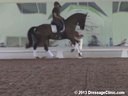 USDF APPROVED<br>University Accreditation<br>USDF Trainers Conference<br>
Day 1<br>
Steffen Peters<br>
Riding & Lecturing<br>
Stratocaster<br>
Oldenburg<br>
7 yrs. Old Gelding<br>
by: Sir Donnerhall<br>
Duration: 33 minutes