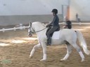 IDCTA The Illinois Dressage & Combined Training Association Presents<br>
Jan Brink<br>
Assisting<br>
Eliza Ardizzone<br>
Favory VIII Ivana<br>
6 yrs. old Stallion<br>
Training: 2nd Level<br>
Duration:47 minutes