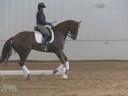 IDCTA The Illinois Dressage & Combined Training Assosiation Presents<br>
Jan Brink<br>
Assisting<br>
Ashley Jabobsen<br>
Three Times<br>
12 yrs. old Gelding<br>
Training: GP<br>
Duration: 46 minutes