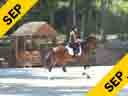 Gary Rockwell<br>
Assisting<br>
Cindy Roesener<br>
Sonaro<br>
16  yrs. Old Hanoverian Gelding<br>
Training: Intermediare 1/2<br>
Owner:  Cindy Roesener<br>
Duration: 49 minutes