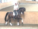 Hartwig Burfeind<br>
Riding & Lecturing<br>Diamonit<br>
Oldenburg<br>
6 yrs. old Stallion<br>
Training: 3rd Level<br>
Duration: 25 minutes