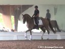 USDF APPROVED<br>University Accreditation<br>USDF Trainers Conference<br>
Day 2<br>
Steffen Peters<br>
Riding & Lecturing<br>
Summersby<br>
6 yrs. Old Mare<br>
by: Sir Donnerhall<br>
Duration: 37 minutes