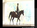 Day 1
Mary Wanless
Assisting Cheryl Joyner
Riding Xan 
Arabian
10 yrs. old Intro
Duration : 24 minutes