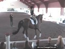 USDF Trainers Conference<br>USDF APPROVED<br>
University Accreditation<br>Day 1<br>
Welcome & Introductions<br>
4 Year Olds<br>
Christoph Hess<br>
Assisting<br>
Jennifer Baumert<br>
Dynamic<br>
4 yrs. old<br>
Duration: 48 minutes
