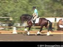 U.S. Trainers & Judges Young Horse Forum<br>Day 2<br>
Dr. Dieter Schule<br>
Demonstrating the Expectations<br>
of the 3 yrs. old<br>
Assisting<br>
Sabine Schut-Kery<br>
Rohan<br>
Westfalen<br>
by: Rock Forever<br>
3 yrs. old Stallion<br>
Dur
