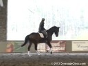 GDCTA Annual Symposium with
Scott Hassler
Assisting
Stacie Meyers
Dahlia
4 yrs. Old Mare
by: Don Principe
Owner: Gina Fisk
Duration: 26 minutes