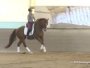 IDCTA Illinios Dressage & Combined Training Association<br>
Lilo Fore<br>
Assisting<br>
Nicole Smith<br>
Elmo<br>
Duration: 44 minutes