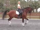 Available on DVD No.5<br>Betsy Steiner<br>
Riding & Lecturing<br>
Feliki<br>KWPN<br>
19 yrs. old Mare<br>
Training: Grand Prix<br>
Duration: 32 minutes